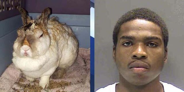 Manasseh Walker, 22, was arrested Thursday on charges of burning a domestic rabbit named Thumper. (Sarasota County Sheriff’s Office/Fox 4)