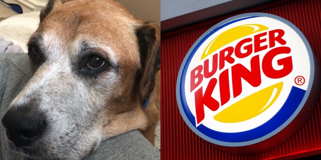 A Burger King in Toledo, Ohio is giving terminally ill Cody free cheeseburgers to help keep him happy in his final days.