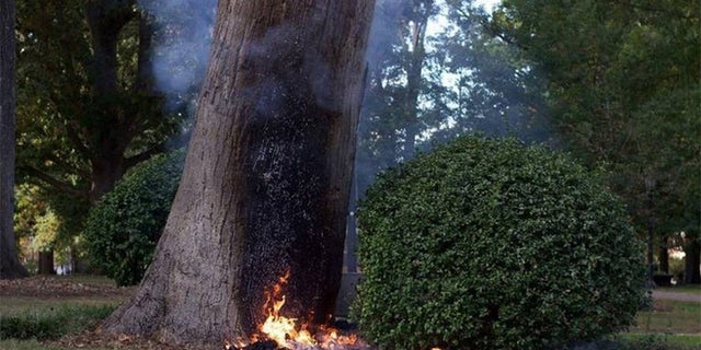 A University of North Carolina Chapel Hill professor was burned after he tried to blow up the college's "Tree of Knowledge" on Thrusday.