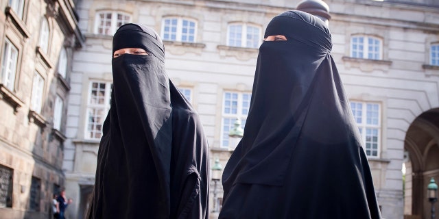 Denmark has joined some other European countries in banning garments that cover the face, including Islamic veils such as the niqab or burqa.