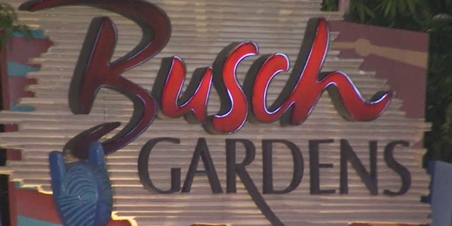 A man celebrating Fourth of July in Busch Gardens' Tampa Bay was hit by a stray bullet, police say.