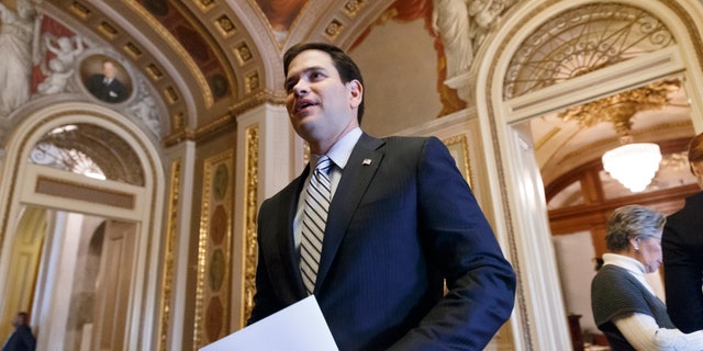 Sen. Marco Rubio, R-Fla., on Wednesday, Jan. 8, 2014, on Capitol Hill in Washington.