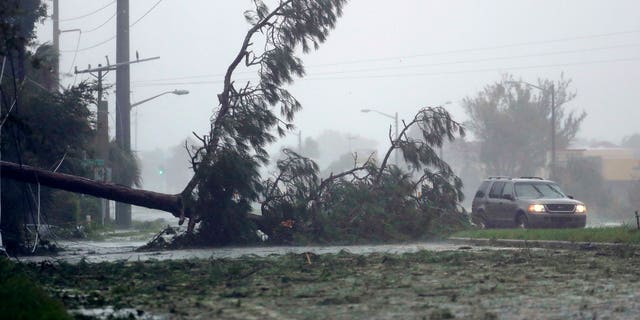 A car drives past a downed tree as Hurricane Matthew moves through Daytona Beach, Fla. Friday, Oct. 7, 2016. Matthew was downgraded to a Category 3 hurricane overnight, and its storm center hung just offshore as it moved up the Florida coastline, sparing communities its full 120 mph winds. (AP Photo/Charlie Riedel)