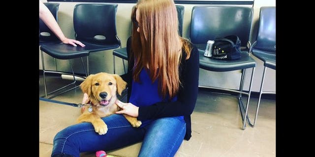 Raine and his new owner, Heather Frazier (Fox5/Twitter/@FOX10Danielle)