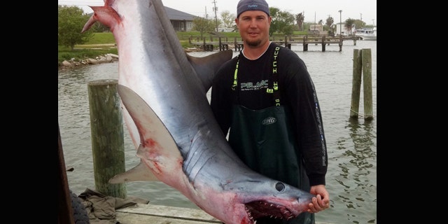 In this photo provided March 29, 2011, by Jason Kresse shows Kreese with a 375-pound, 8-foot long mako shark at a dock in Freeport, Texas. Kresse tells The Associated Press that the mako shark leapt into his boat while he and two others were fishing for red snapper in the Gulf of Mexico on Monday.