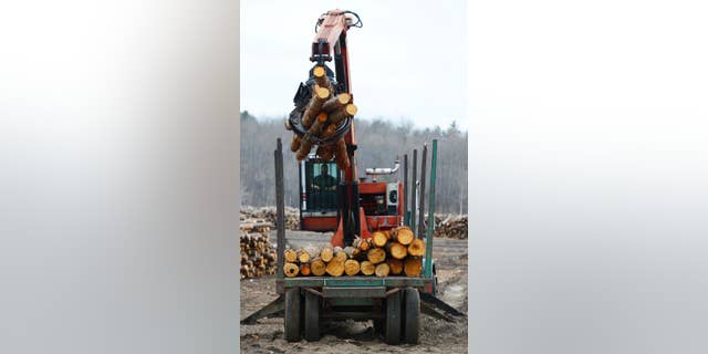 Softwood lumber is unloaded at Murray Brothers Lumber Company woodlot in Madawaska, Ontario on Tuesday, April 25, 2017.  The upper Midwest timber industry is welcoming the Trump administration's announcement that it's imposing tariffs averaging 20 percent on softwood lumber entering the United States from Canada.  (Sean Kilpatrick/The Canadian Press via AP)