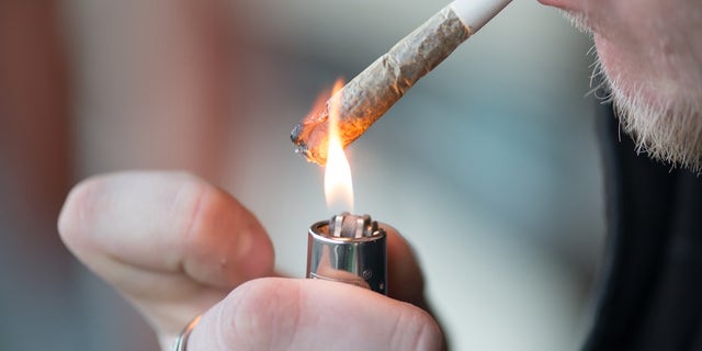 More studies are also needed to determine how CBD counters the effects of THC.