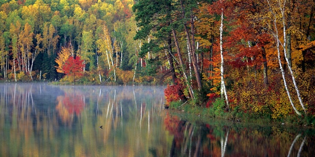 Fall scenic Chippewa National Forest near Marcel.