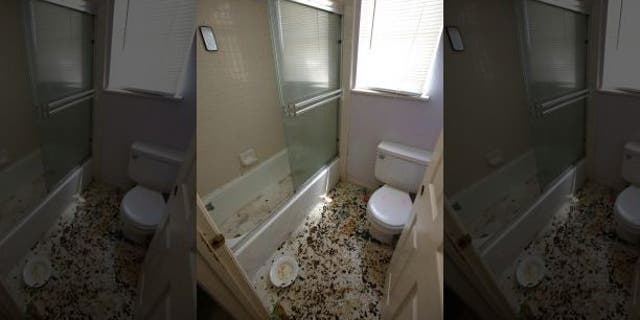 The bathroom is strewn with feces at a home in Fairfield, California, Monday, May 14, 2018, where authorities removed 10 children and charged their father with torture and their mother with neglect after an investigation revealed a lengthy period of severe physical and emotional abuse.