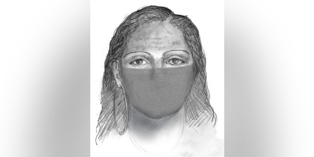 Investigators released a sketch of a suspect in the Sherri Papini case.