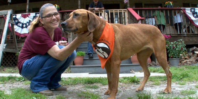 May 16, 2017: This photo shows Cali getting some affection from Anita Stout at the Broken Promises Animal Sanctuary in Howell Township, N.J.
