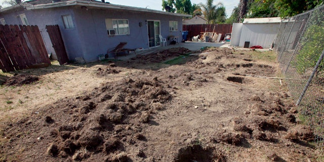 May 31: Photo showing the dug up backyard of a house in Ontario, Calif. Police arrested 51-year-old Carmen Montenegro Sunday night in an Ontario neighborhood where Investigators spent Monday excavating the property outside the home where the body is believed to have come from.