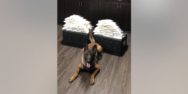 West Covina police K-9 Rye is shown with the 60 pounds of meth he helped find.