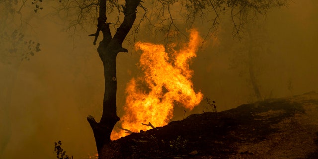Flames from a backfire, set by firefighters trying to contain the Carr Fire, burn in Redding, Calif.