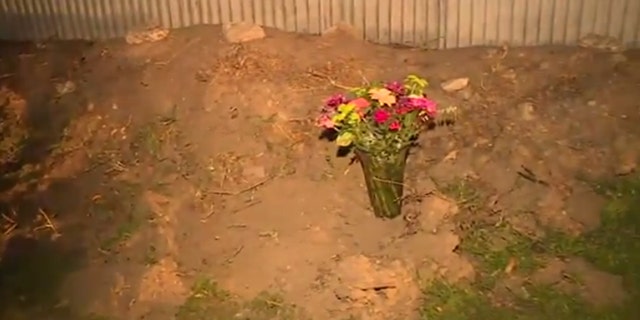 Police believe a pack of dogs mauled a woman to death in Modesto, Calif.