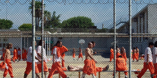 June 3, 2011: Inmates walk around an exercise yard at the California Institution for Men state prison in Chino, California.