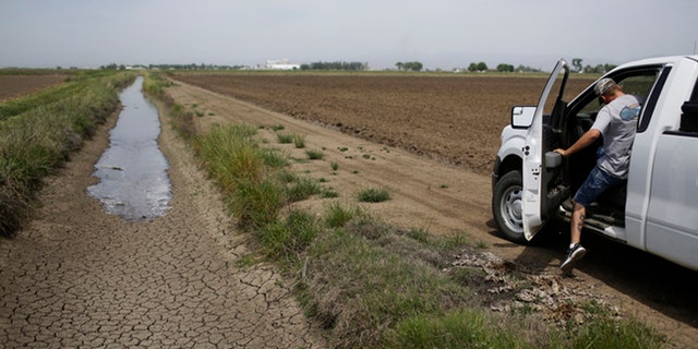 Jeff Thengvall leaves after releasing irrigation water to provide water for the rice fields in Richvale, Calif. (AP Photo/Jae C. Hong)