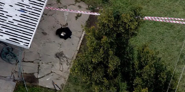 A tree trimmer was electrocuted in San Jose on Monday, fire officials said.
