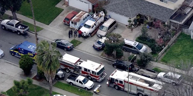 A tree trimmer was electrocuted in San Jose on Monday, fire officials said.