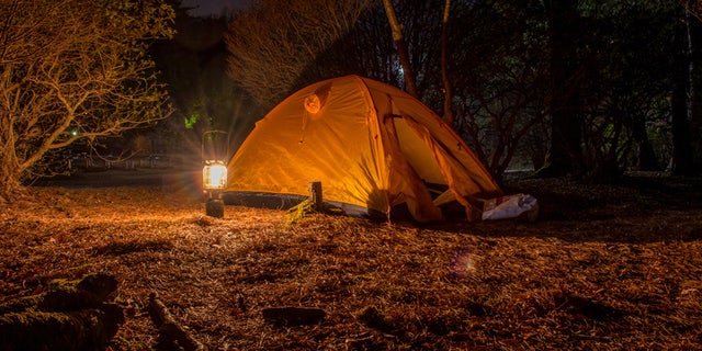 A couple's camping retreat quickly turned into a nightmare.