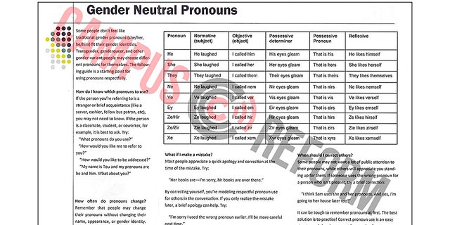 Gender Neutral Pronouns Chart