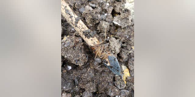 The spear dart was discovered in a melting ice patch in Canada's Yukon Territory (Carcross/Tagish First Nation)