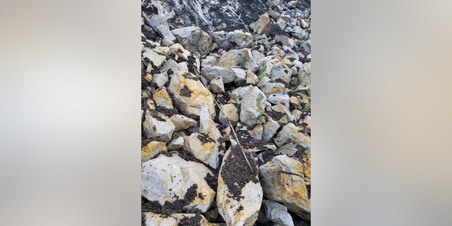 The intact spear dart is remarkably well preserved (Carcross/Tagish First Nation)