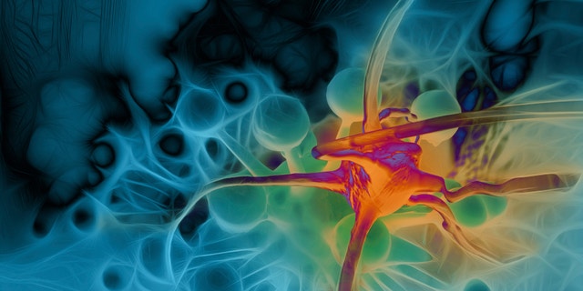 cancer cell made in 3d software