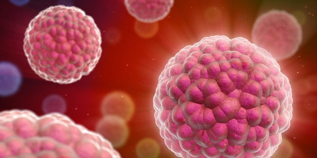 Cancer cells.