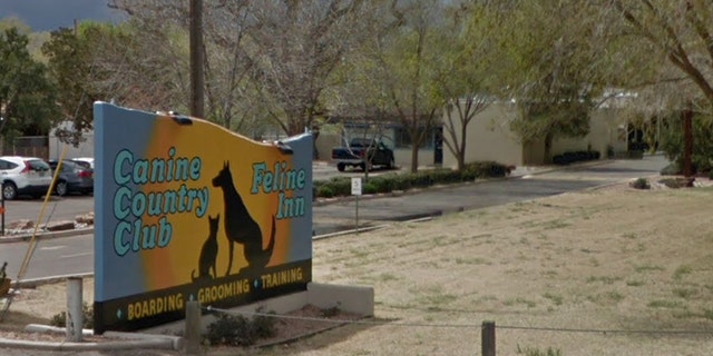 An animal volunteer in Arizona was allegedly killed during a dog attack at the Canine Country Club & Feline Inn, reports said.
