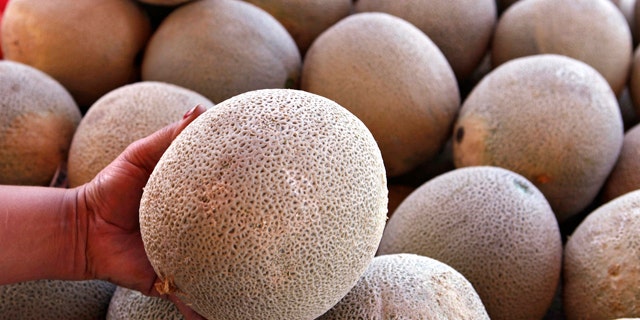 An operator of a fruit and vegetable stand near Denver holds a California-grown cantaloupe for sale at her business on Friday, Sept. 16, 2011. Federal and state officials have isolated a deadly outbreak of listeria to one cantaloupe farm near Holly, Colo. They have ordered a recall of 300,000 cases of melons grown on the Jensen Farms. Only California-grown cantaloupe could be found in Denver markets. (AP Photo/Ed Andrieski)