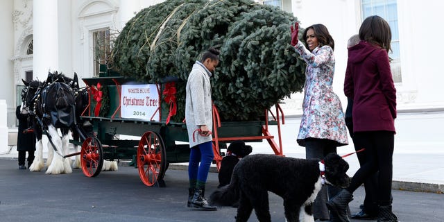 First lady Michelle Obama, second from right, joined by her daughters Sasha Obama, left, and Malia Obama, waves to the press after welcoming the Official White House Christmas Tree to the White House.