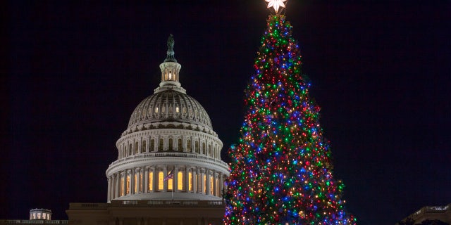 Capitol Tree