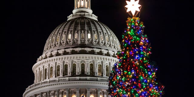The Capitol Christmas tree is illuminated as lawmakers in the Senate work late into the evening on the Republican tax bill, in Washington, Tuesday, Dec. 19, 2017. (AP Photo/J. Scott Applewhite)