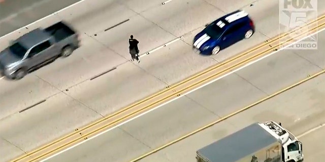 The truck eventually stopped in the middle of the freeway and the man driving the stolen vehicle got out, jumped the center divider and ran across five lanes of traffic.