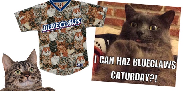 Saturday at FirstEnergy Park in Lakewood, N.J. is CATurday, expected to be a Purrfect night for cats at the ballpark. (Lakewood BlueClaws)