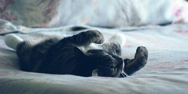 Just as important to your career as pushing ahead toward your goals is knowing when to relax, and how to rest and recharge…