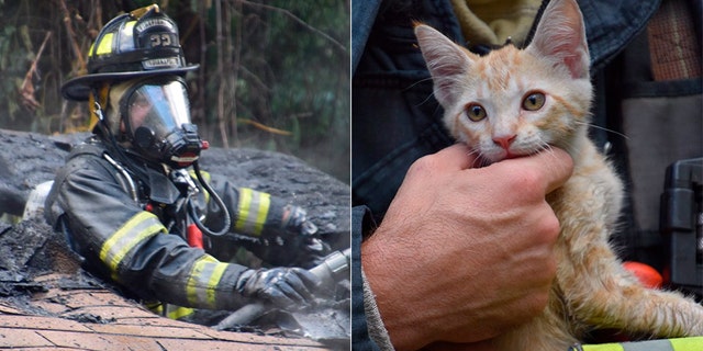 A firefighter saved this kitten from a house fire in Indianapolis.