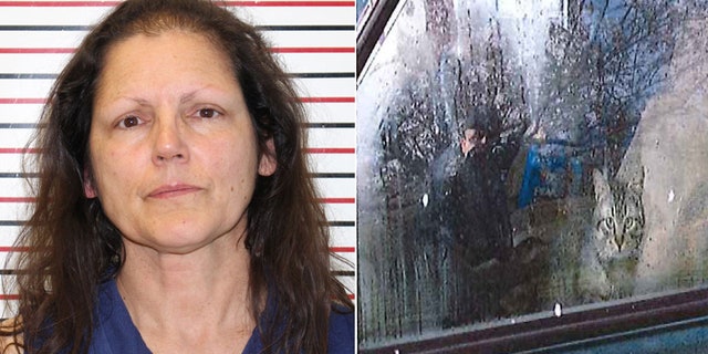 Police say 42 cats were found in Kathryn St. Clare's car Monday when she was arrested in Warrenton, Wash.