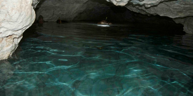 Freshwater lake inside a cave on Mona island (Project El Corazon del Caribe)