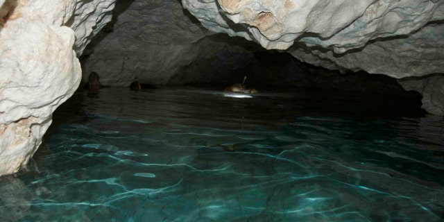 Freshwater lake inside a cave on Mona island (Project El Corazon del Caribe)