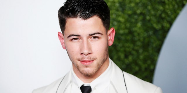 Dads First Class Picture With Nick Jonas Goes Viral Fox News