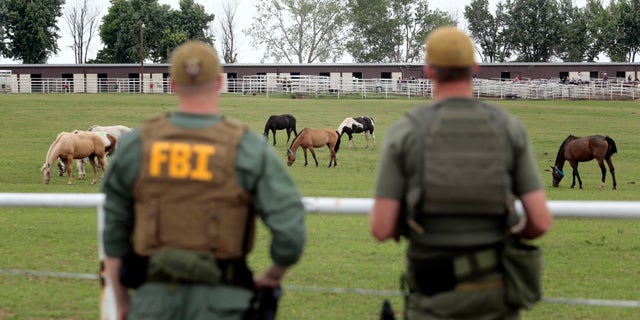 Teens stole a trio of horses in Texas and got into a car crash, Dallas Police say.