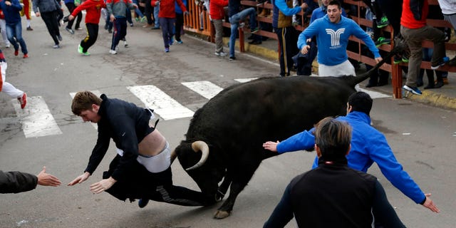 Benjamin Miller, 20, from Georgia, is gored by a bull during the "Carnaval del Toro" in Ciudad Rodrigo, Spain, on Sunday, Feb. 15, 2015. An American youth is recovering in the intensive-care unit of a hospital in western Salamanca after being savagely gored during a bullfighting festival celebrating Carnival, officials said Sunday. Surgeon Enrique Crespo said he was called to operate on 20-year-old Benjamin Miller from Georgia, who had been gored and tossed by a large fighting bull on Saturday, the first day of nearby Ciudad Rodrigo's "Carnaval del Toro." (AP Photo/Jose Vicente)