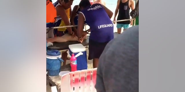 Pic shows: boy being attended by paramedics;
Dramatic mobile footage has caught the tense moment rescuers performed CPR on a two-year-old boy whose heart stopped after he was stung by a deadly box jellyfish.
The little Russian lad, not named, was on holiday on Koh Samui Island in southern Thailandâs Surat Thani Province with his mum, 29-year-old Yekaterina Ivanova.
He was swimming in shallow waters with her when the extremely venomous species of box jellyfish (Cubozoa) stung him and caused him to scream in agony.
It was not long before the boy lost consciousness as the venom started to take effect. His mum shouted for help and luckily beachgoers nearby rushed over to help them get out of the water.
Watcharin Kongmun, one of the locals at Lamai beach where they were swimming, helped them get out of the water and quickly administered CPR (cardiopulmonary resuscitation) to the little boy as Yekaterina frantically looked on.
And in an amazing escape from death, the two-year-old regained consciousness and was taken to the Bangkok-Samui hospital for treatment.
Yekaterina was said to have also suffered a painful sting from the box jellyfish but, because her body mass was bigger, she was not as quickly affected by the venom.
Both mother and son received treatment at hospital and are now said to be out of danger and currently recovering.
There have already been 11 cases of tourists being stung by box jellyfish in Thailand since 31st June this year.
The animal gets its name from its cube-like shape and is feared by swimmers and fisherman around the world because of its deadly venom.
The Cubozoa species is largely restricted to the tropical Indo-Pacific region, but some species can be found in the Atlantic Ocean, in the east Pacific Ocean, in the Mediterranean Sea, on the Japanese coast and even as far south as South Africa.
User âcumgranosalumâ said: "Jellies are around all year here and their sting is frequently deadly - they are one of the most deadly sti