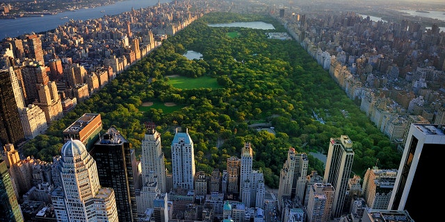 Central Park aerial view, Manhattan, New York; Park is surrounded by skyscraper