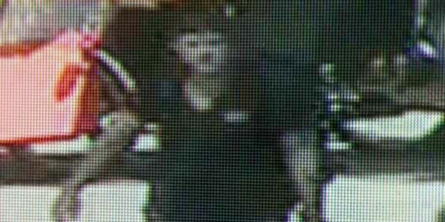 Sept. 12, 2012: This image taken from surveillance video and provided by the New York City Police Department shows a man believed to have mugged and sexually assaulted a 73 year old woman in New York's Central Park. The woman was attacked about 11 a.m. while bird watching near the park's tranquil Strawberry Fields that serves as a memorial to John Lennon. (AP/NYPD)