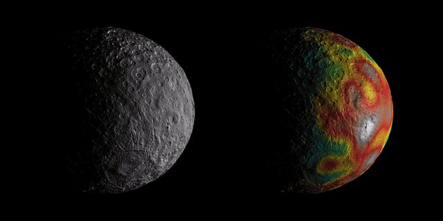 This still of Ceres from a NASA animation based on data from the Dawn spacecraft in orbit shows the dwarf planet (and largest asteroid) as it appears to the probe (left) and with a gravity-field map overlaid in false color. Red areas indicate regions where gravity is stronger on Ceres, while blue denotes a weaker gravity field.