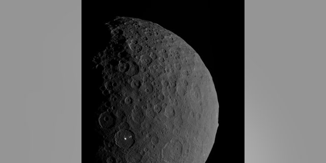 This view of the dwarf planet Ceres shows the mountain and likely "ice volcano" Ahuna Mons on the right edge and the bright spots of the Occator crater in the bottom left. New research suggests that multiple ice volcanoes once dotted Ceres' surface. (Credit: NASA/JPL-Caltech/UCLA/MPS/DLR/IDA)