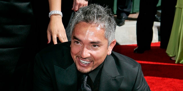 Aug. 19, 2006. Television personality and dog psychologist Cesar Milan arrives for the Creative Arts Emmy Awards in Los Angeles.